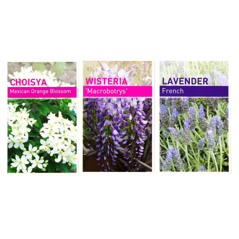 Plant Labels & Tags Australia Norwood