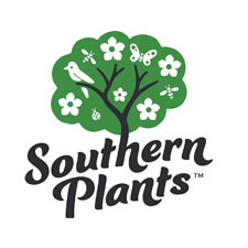 Southern Advanced Plants